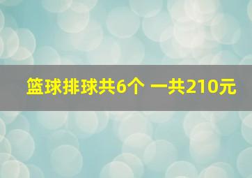 篮球排球共6个 一共210元